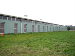 click on image for larger view