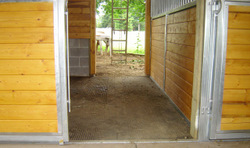 click on image for larger view